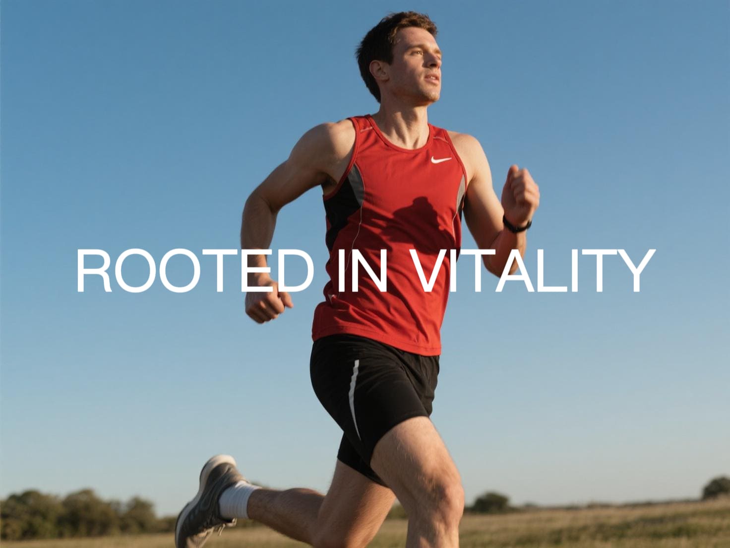 Feeling Fatigued or Sluggish? Discover the Power of Beetroot Gummies