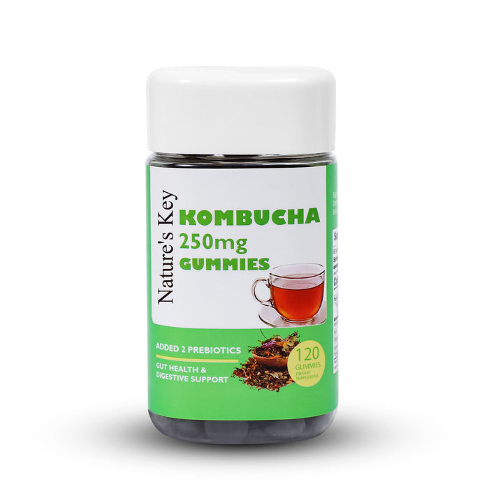 Nature's Key Kombucha Gummies for Digestive Support & Gut Health, with 2 Prebiotics - Inulin & Oligogalactose - Fresh Indian Gooseberry Juice Added - 120 Gummies (2 Months Supply)