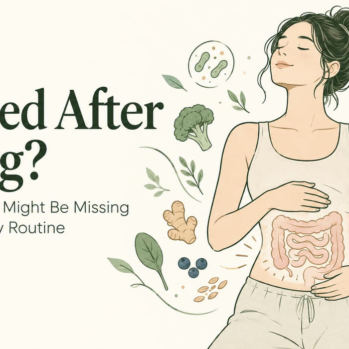 Illustrated cover image for the article Bloated After Eating? What Your Gut Might Be Missing From Your Daily Routine, showing a woman with a calm expression and highlighted digestive system surrounded by healthy foods and gut microbes