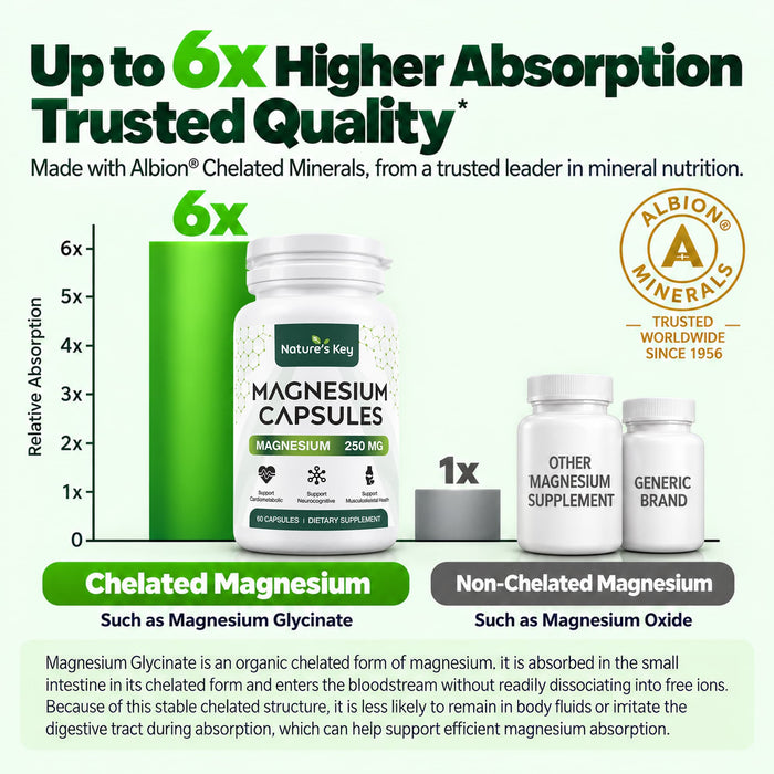 Magnesium Glycinate Capsules with Zinc, Vitamin D3 & B6, High Absorption, 60 Ct