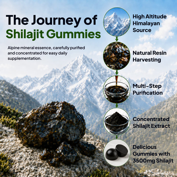 Shilajit Gummies 60 Count, 7-in-1 Botanical Blend for Energy & Immune Support, Zero Sugar & Vegan