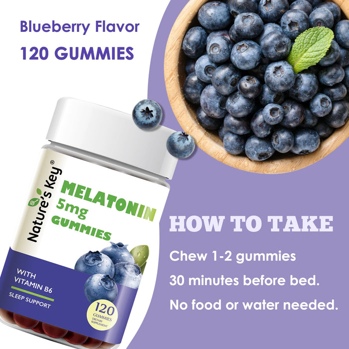 Melatonin Gummies 120 Count with Vitamin B6